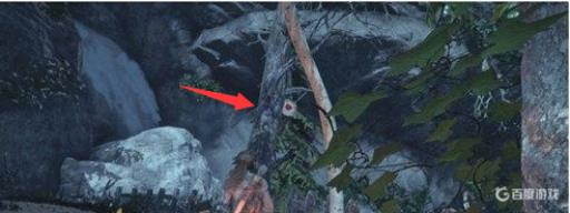 古墓丽影崛起箭靶位置在哪里?7