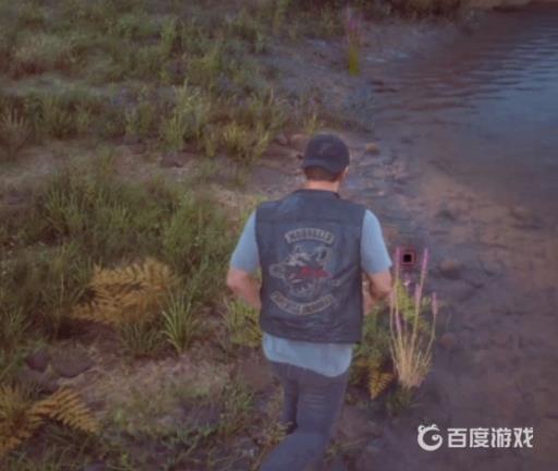 如何完成任务-薰衣草?2