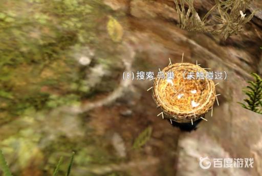 七日杀羽毛哪里有?4