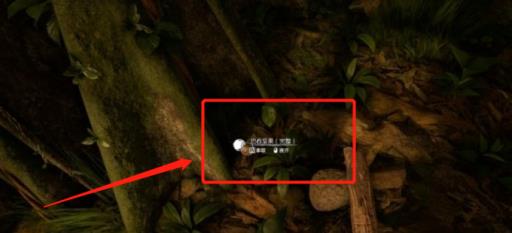 绿色地狱坚果壳怎么获得?3