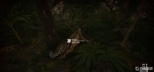 绿色地狱美洲豹怎么打?3