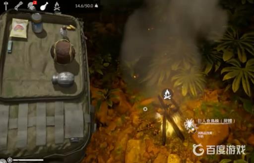 绿色地狱蜘蛛怎么烧成灰?2