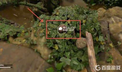 绿色地狱椰子怎么打开?3