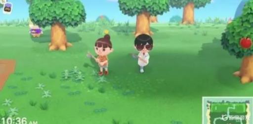 一个switch可以两个人玩动森吗?4