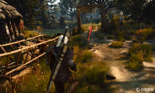 巫师3如何完成任务猎捕女巫?4