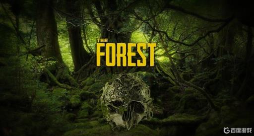 森林布料在哪获得?1