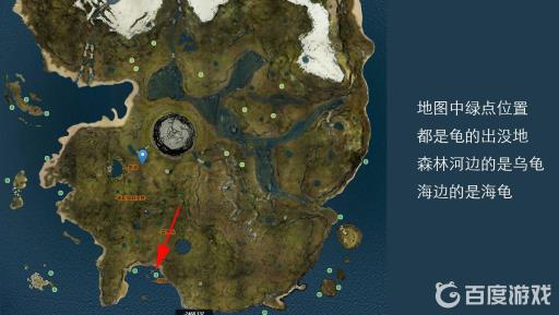 森林的乌龟壳去哪收集?2