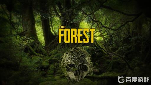 森林各个洞里有什么?1