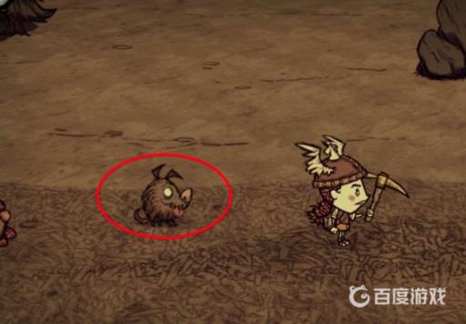 饥荒岩石洞窟怎么用?5