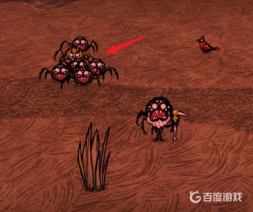 饥荒韦伯怎么和蜘蛛做朋友?7
