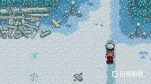 星露谷冬天要做什么?4