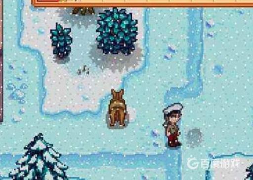 星露谷冬天要做什么?5