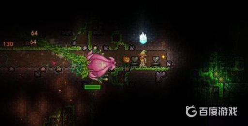 泰拉瑞亚世花花苞要多久长出来2