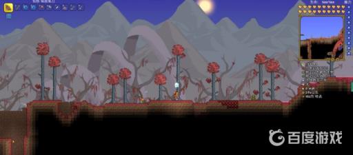 泰拉瑞亚丛林躁动花苞在哪?1