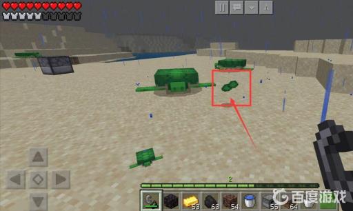 mc海龟碎片怎么收集?3