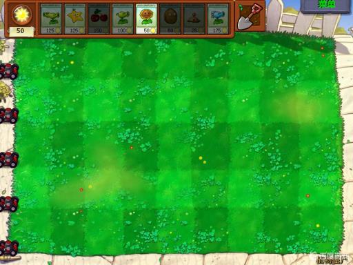 植物大战僵尸里的草地一行几格?1