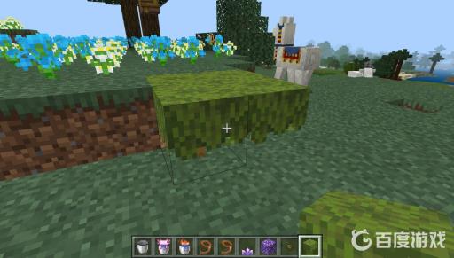 我的世界杜鹃花丛怎么找?3