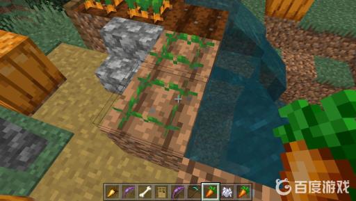 我的世界胡萝卜怎么种?3