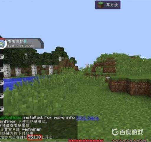 我的世界游侠怎么联机?14