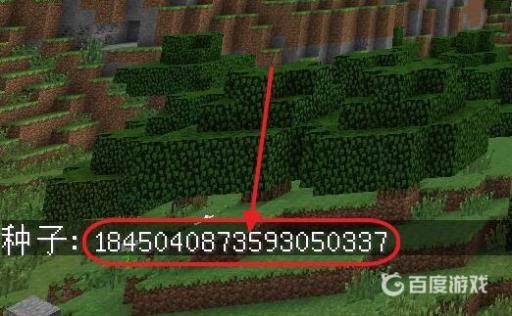 我的世界怎么查看种子?3