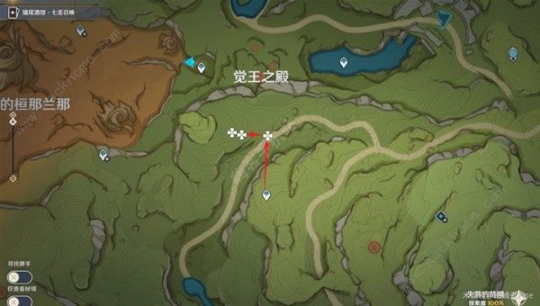 原神帕蒂沙兰新版采集位置大全2