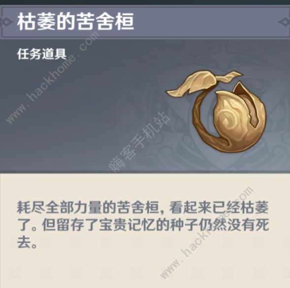 原神正法炬书攻略大全6