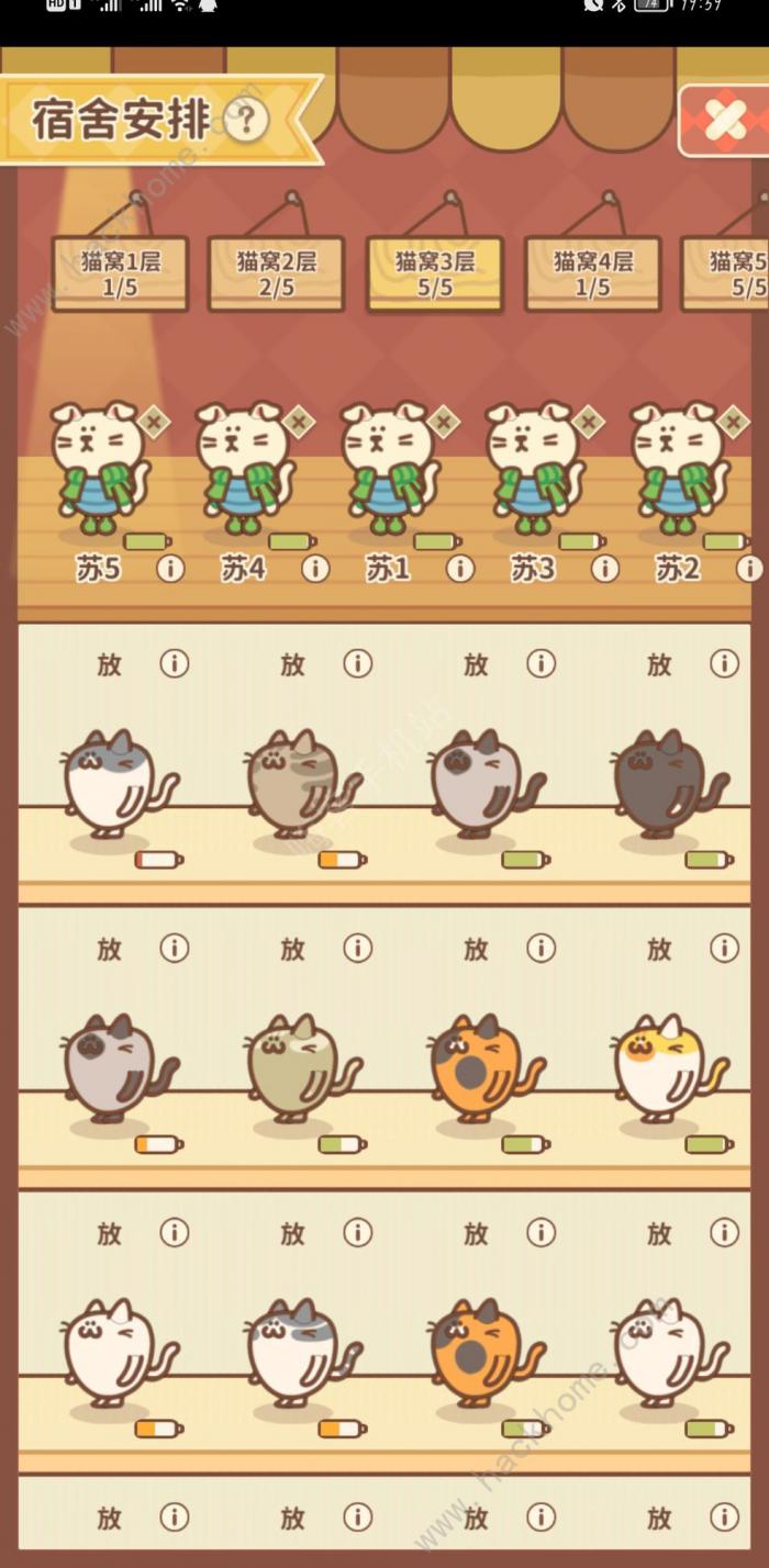 住客大人的心愿兔兔女郎攻略2