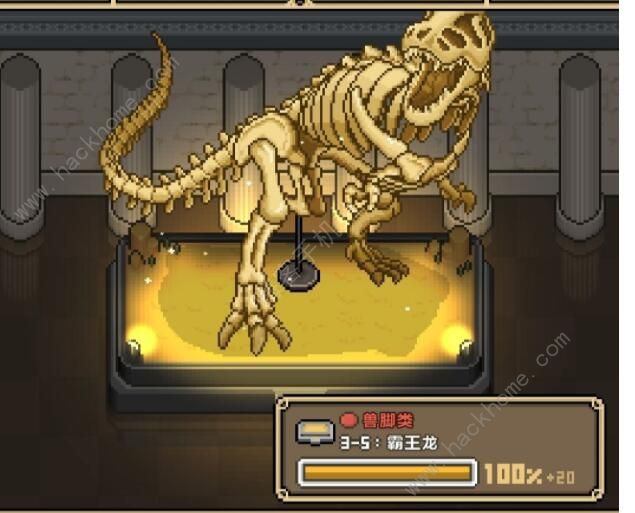 我的化石博物馆新手攻略1