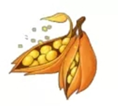 迷你世界神圣果实方块曝光2