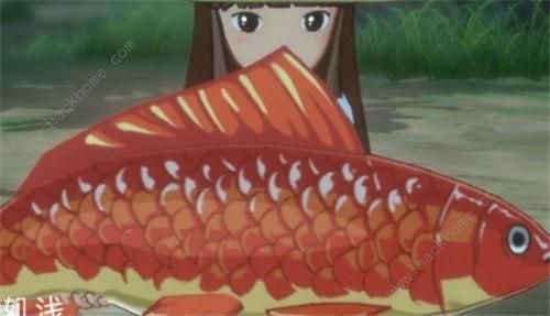 小森生活鲤鱼王任务失败解决办法3