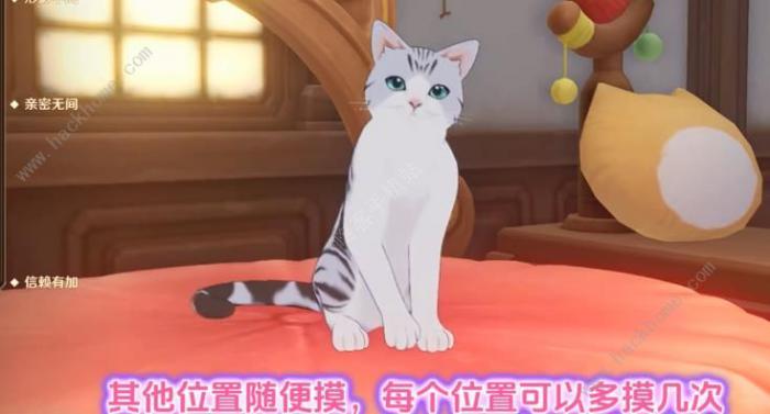 原神茸茸城堡大喵险第二天攻略7