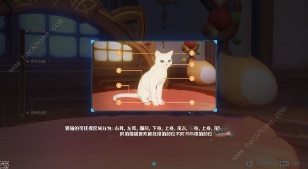 原神茸茸城堡大喵险第一天怎么过5