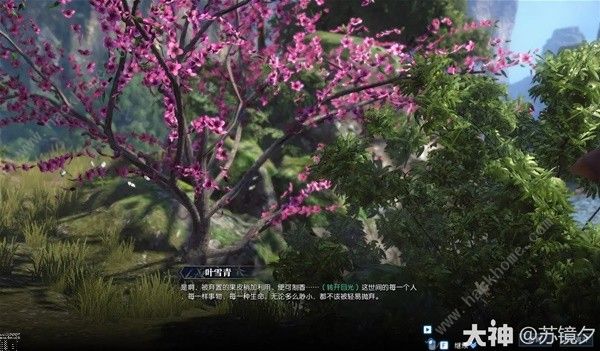 逆水寒香意如许奇遇怎么触发7