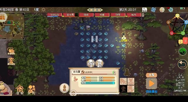 了不起的修仙模拟器开局一品金丹攻略2