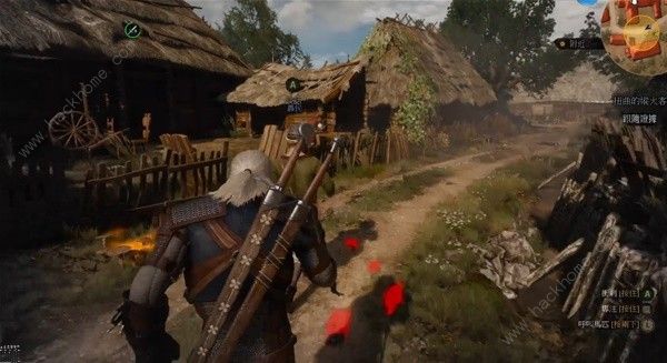 巫师3扭曲的纵火客支线任务怎么做4