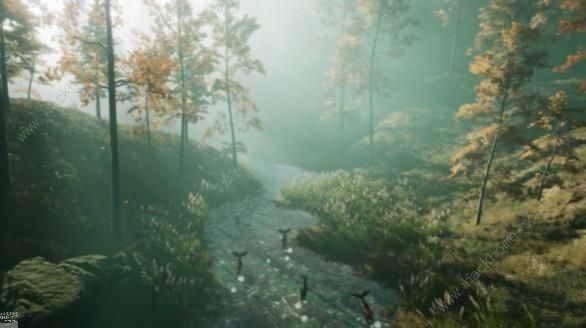 星球重启仓库满了怎么办4