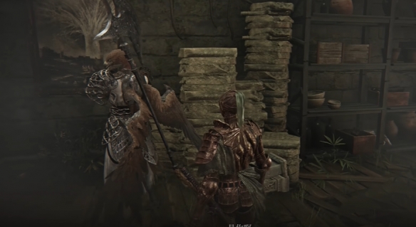 艾尔登法环黑夜君临支线全攻略2