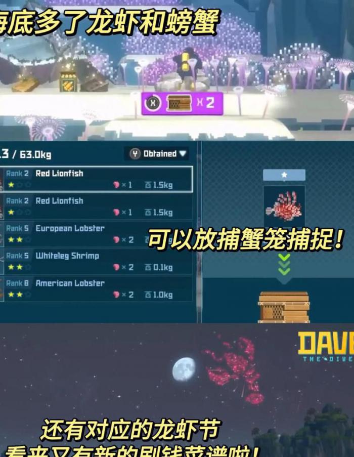 潜水员戴夫怎么样百分百获得长尾鲨尾巴1