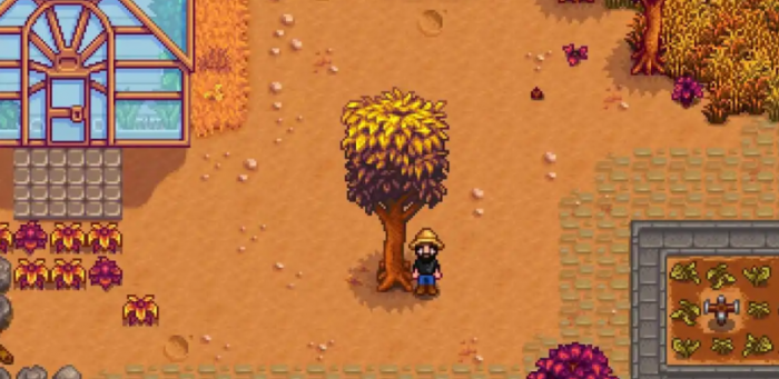 星露谷物语桃花心木怎么种2