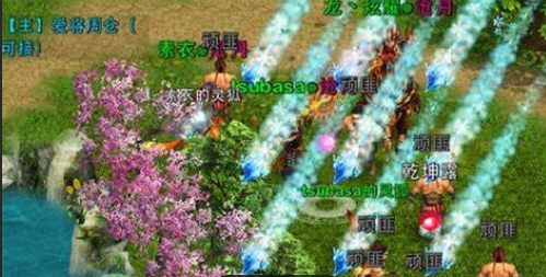 需要怎样的条件才能购买忘仙万年宠物2