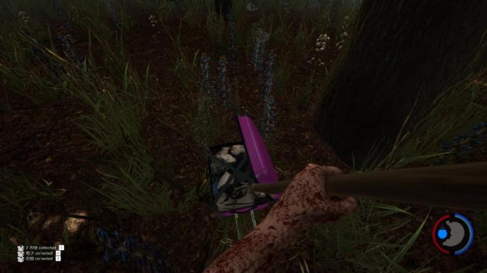 浆果森林山顶的游览需要购票吗3