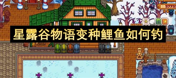 星露谷物语变种鲤鱼怎么钓1