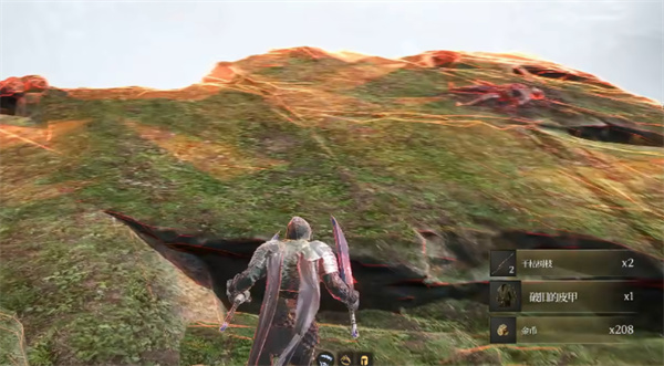 星露谷物语巨大作物怎么种植7