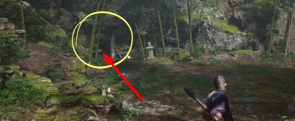 黑神话悟空落伽香藤怎么采集1