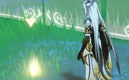 原神嘉义位置大全2