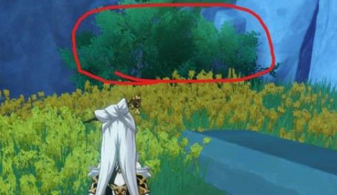 原神嘉义位置大全4