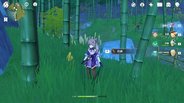 原神竹笋哪里多1