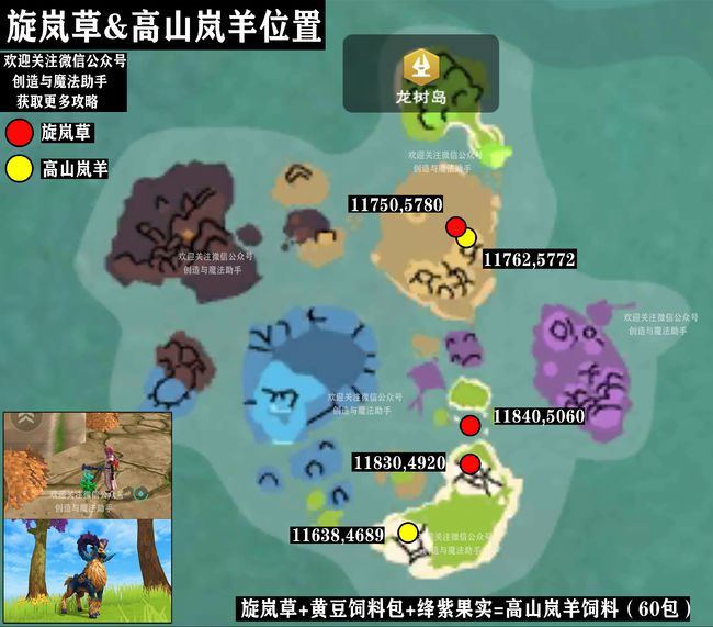 创造与魔法旋岚草分布位置在哪1