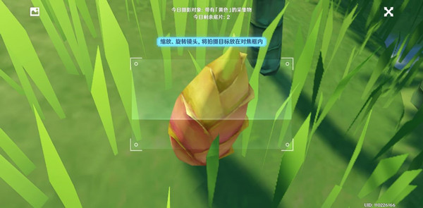 原神带有黄色的采集物拍照位置汇总3