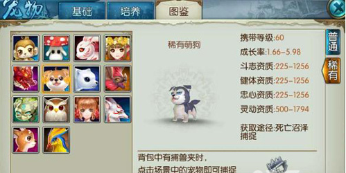 诛仙手游稀有萌狗在哪里1